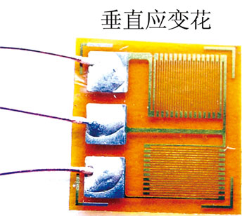 BSF120-2BB-T常温双轴应变片.jpg