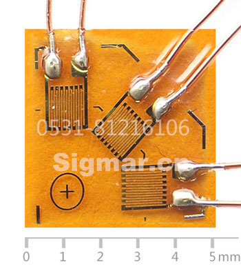 BSF120-1.0CA-T2常温三轴应变片-(2).jpg