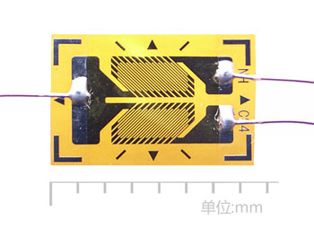 BSF120-2HA-T常温双轴应变片.jpg