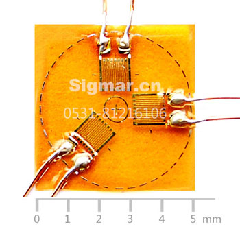 BSF120-1.0CA-T常温三轴应变片.jpg